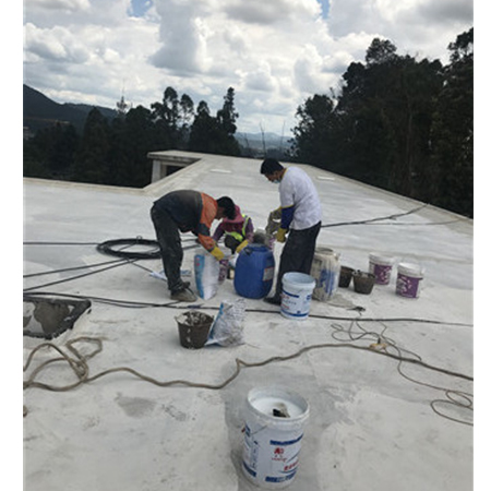 防水堵漏哪家好