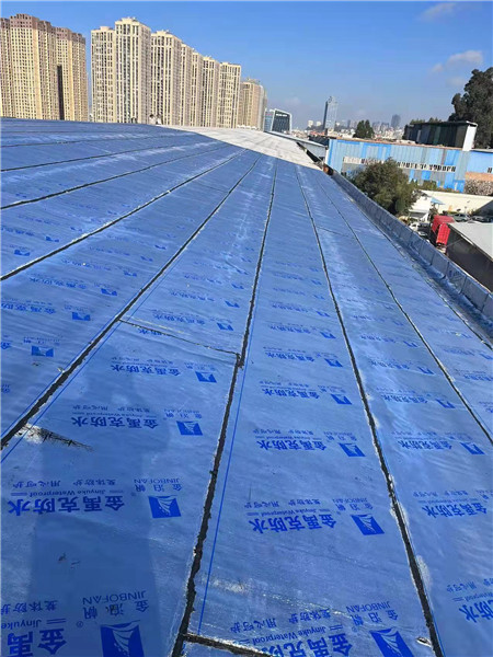 呈貢區(qū)老廠(chǎng)房屋頂SBS防水